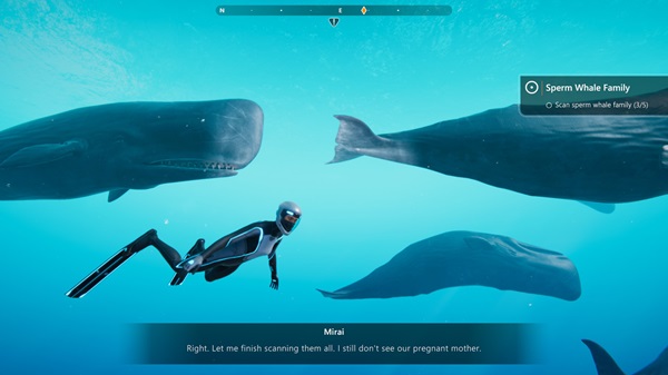 beyond blue apk download