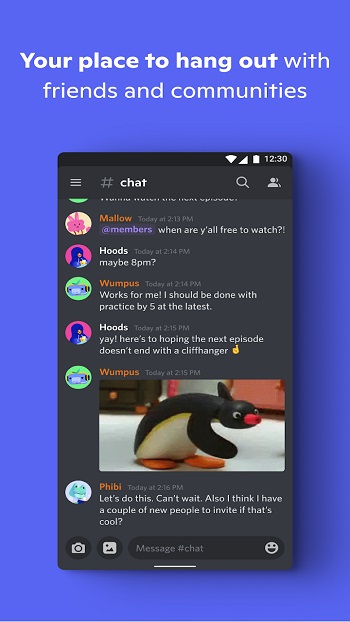 Discord app detail