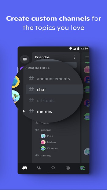 Discord app detail