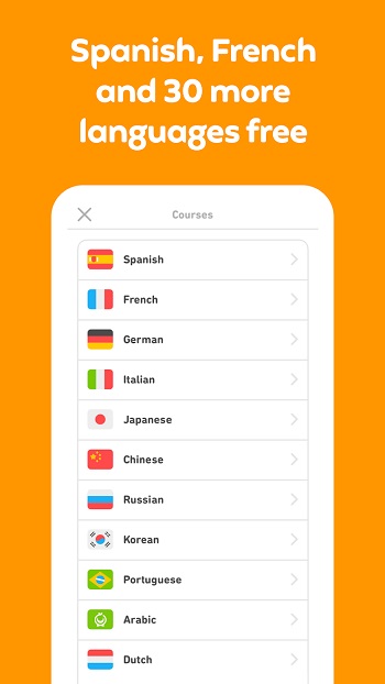 Duolingo app detail