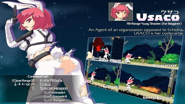 Echidna Wars DX game detail