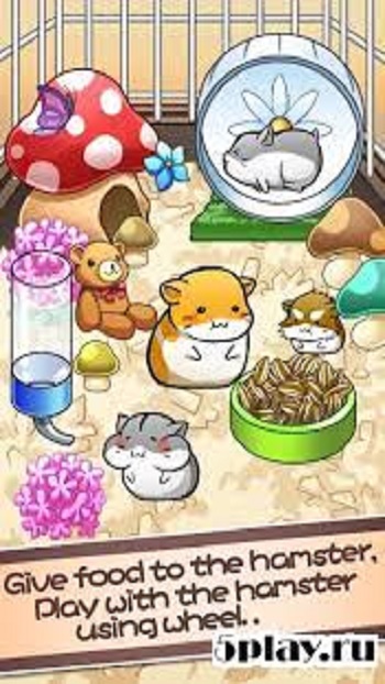 hamster life game detail