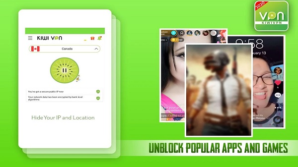 Kiwi VPN Proxy app detail