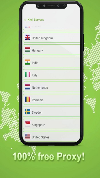 Kiwi VPN Proxy app detail