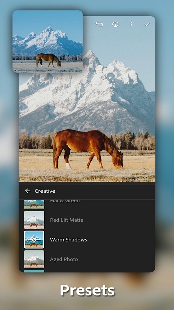 Adobe Lightroom app detail