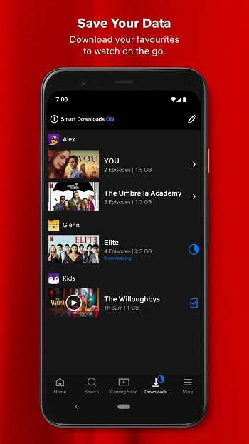 Netflix app detail