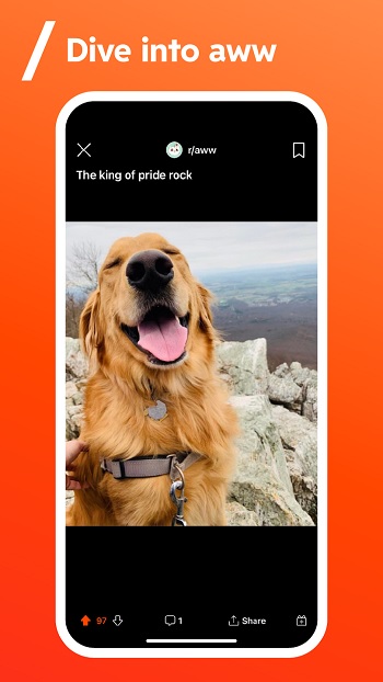 Reddit app detail