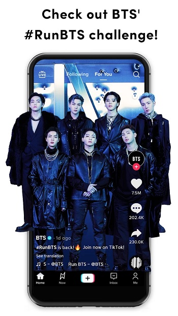 TikTok app detail